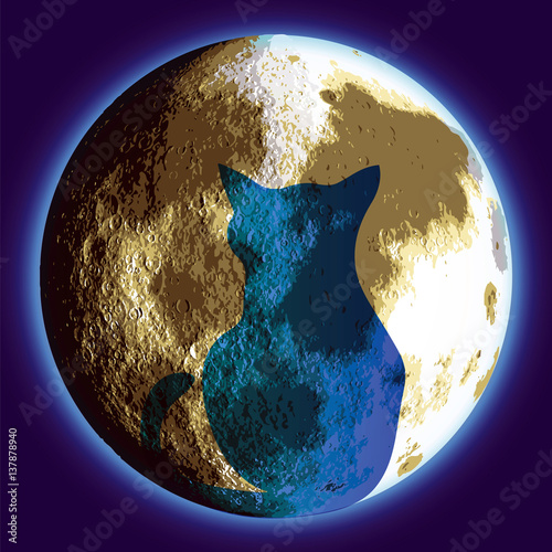 Cat and Moon  - vector illutration 
