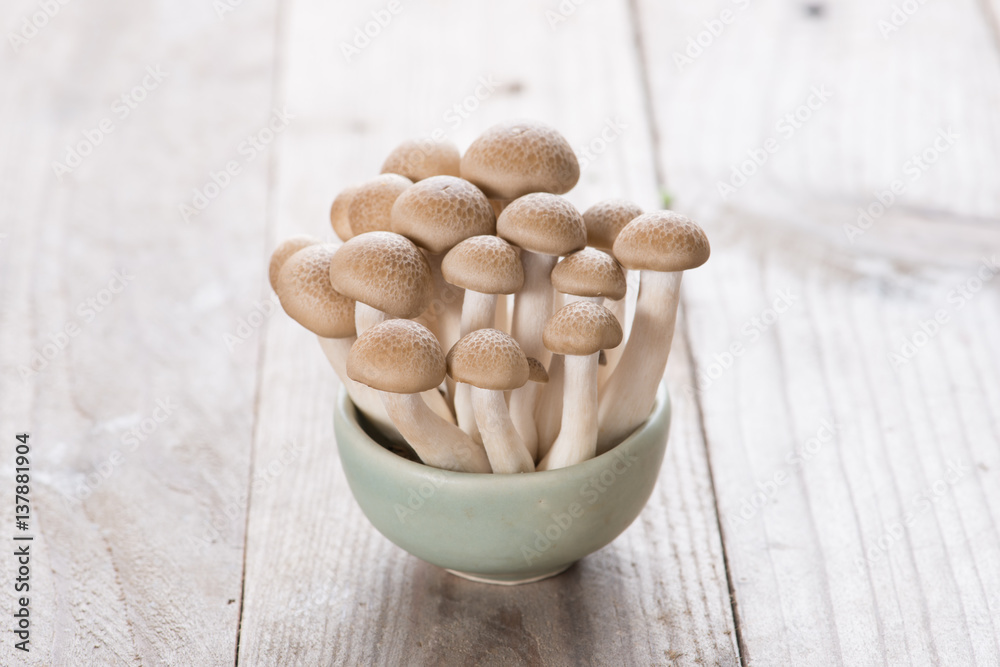 Shitake , Mushrooms food background. on wood background. Shitake , Mushrooms food background. on wood background.