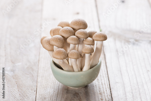 Shitake   Mushrooms food background.  on wood background.