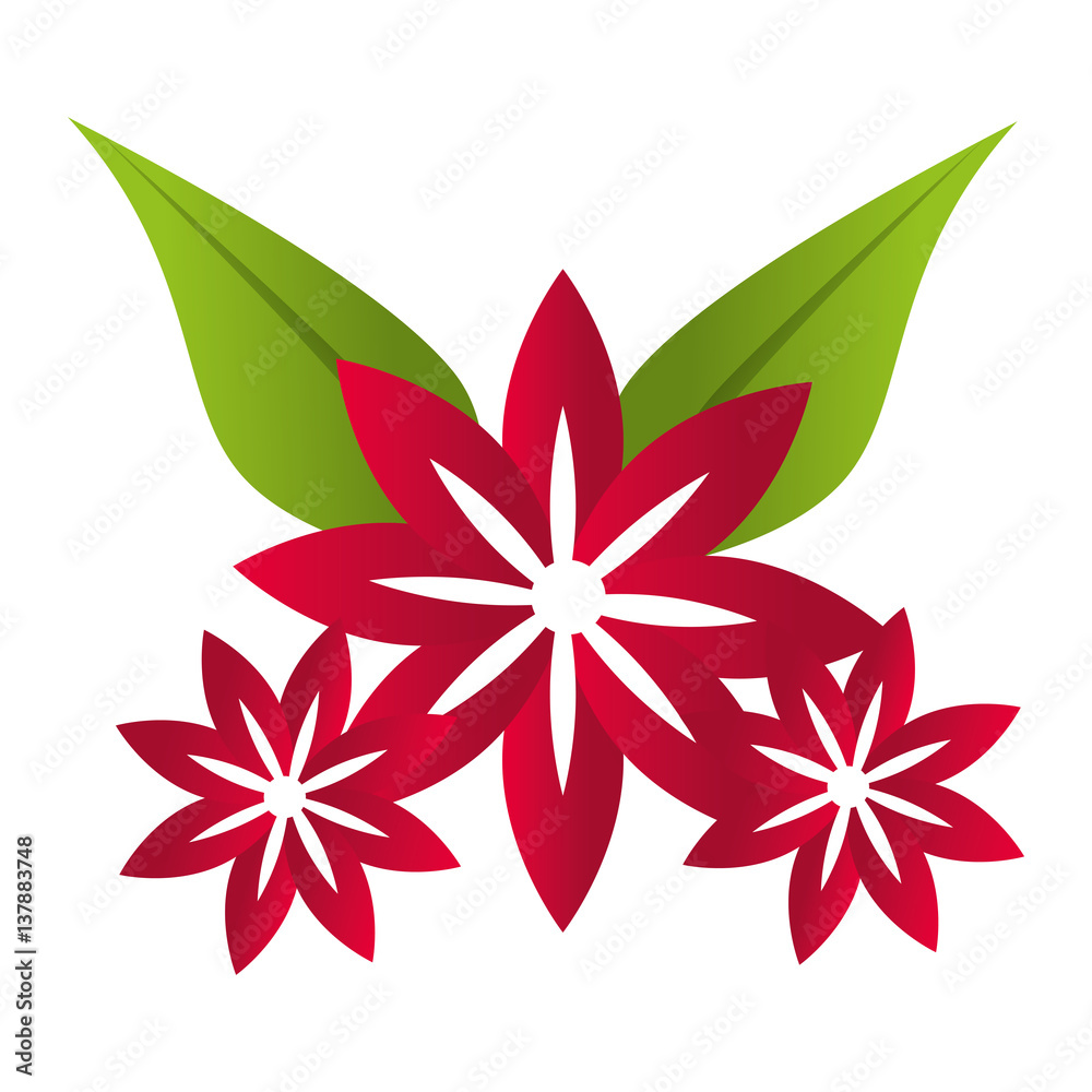 cute flower decoration icon vector illustration design cute flower decoration icon vector illustration design