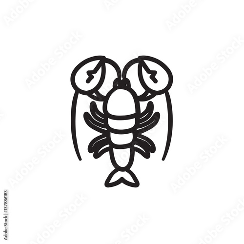 Lobster sketch icon.