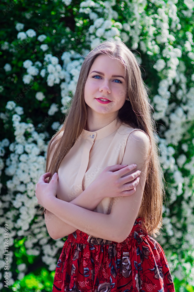 Beautiful model range bush of white flowers Beautiful model range bush of white flowers