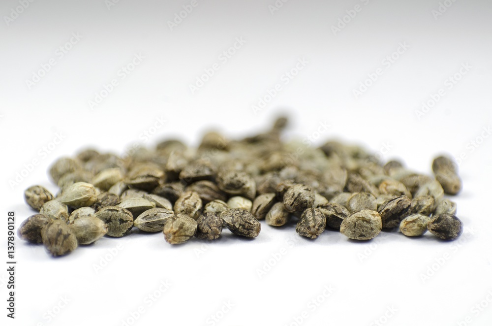 Detail closeup view of medical marihuana seeds Detail closeup view of medical marihuana seeds