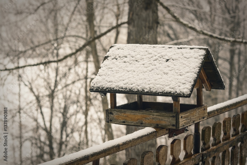 Old birdhouse on brench covered snow in winter Old birdhouse on brench covered snow in winter