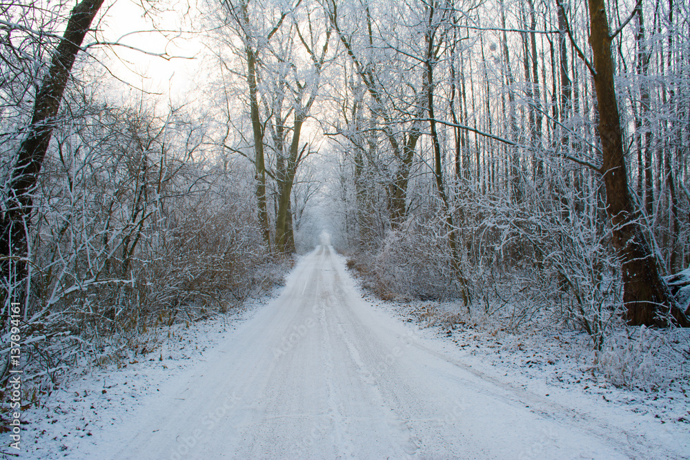 Fototapeta premium Snowy rural road at sunset