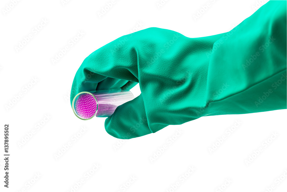 Capillary tube  on hand of scientist with blue glove on white .Saved with clipping path ,selective focus.