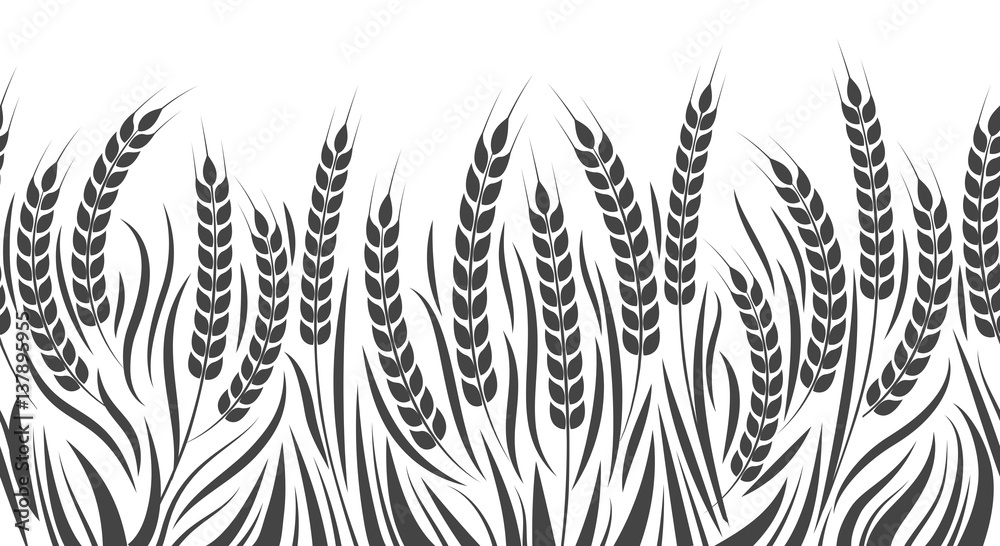 Harvest horizontal pattern vector illustration. Wheat, rye or barley field isolated on white background - obrazy, fototapety, plakaty 