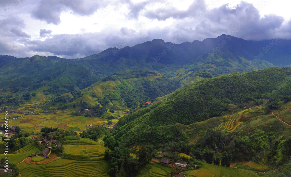Green Terraced Rice Field landscape near Sapa in Vietnam.Vietnam landscapes.   