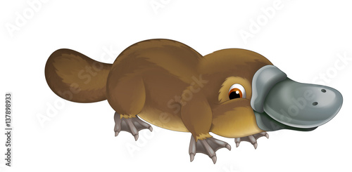 cartoon animal happy platypus illustration for children