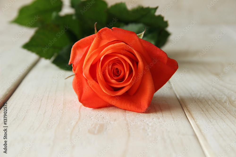 Bouquet of red roses on a wooden background