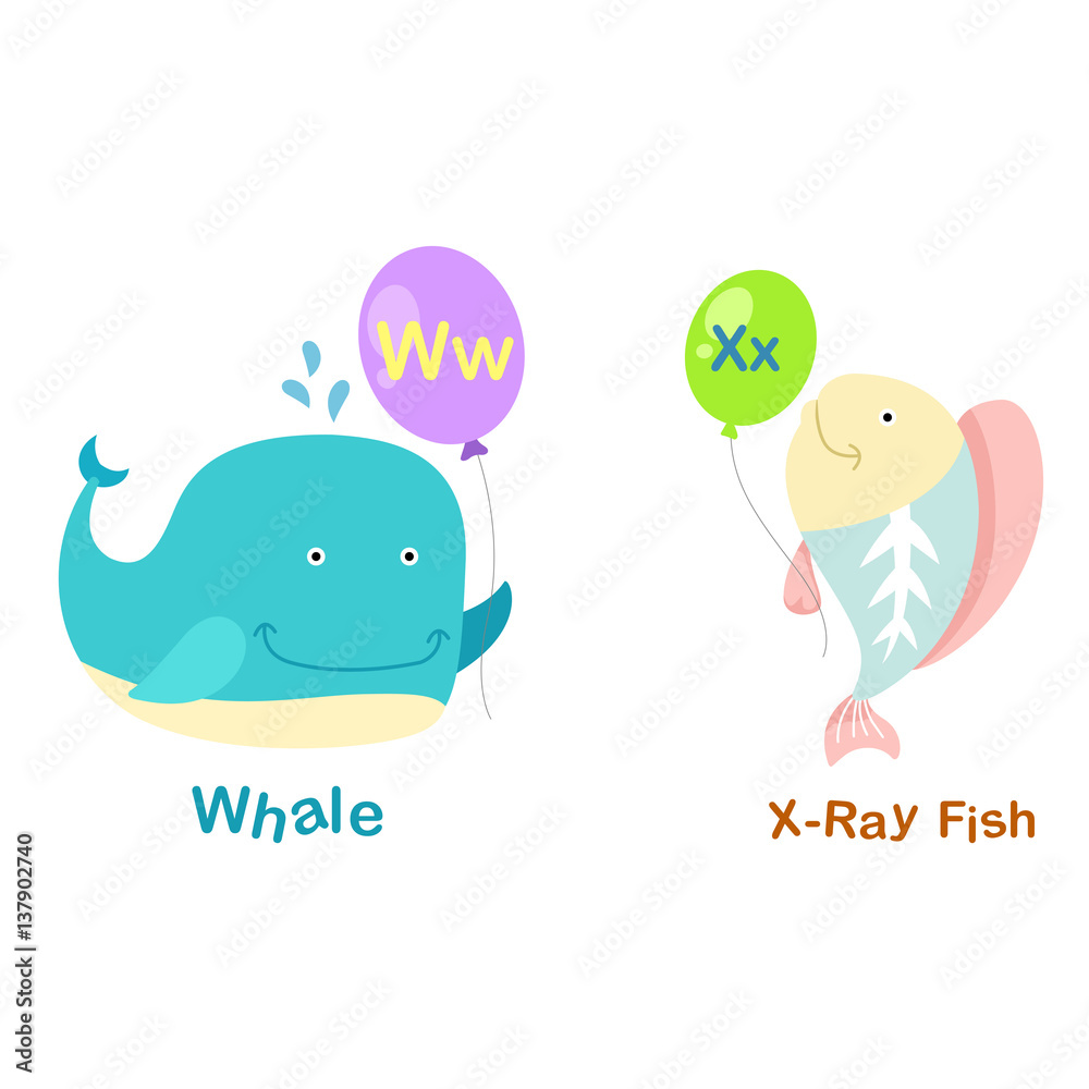 Illustration Isolated Alphabet Letter W-whale,,X-x-ray fish