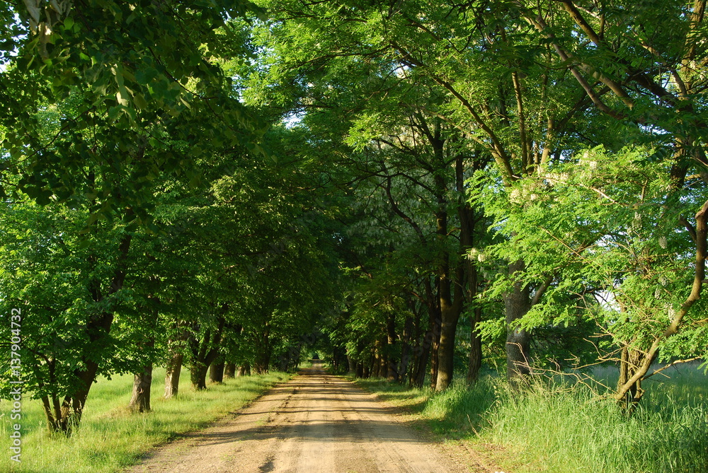 Poleski Park Narodowy, Sciezka Przyrodnicza Poleski Park Narodowy, Sciezka Przyrodnicza