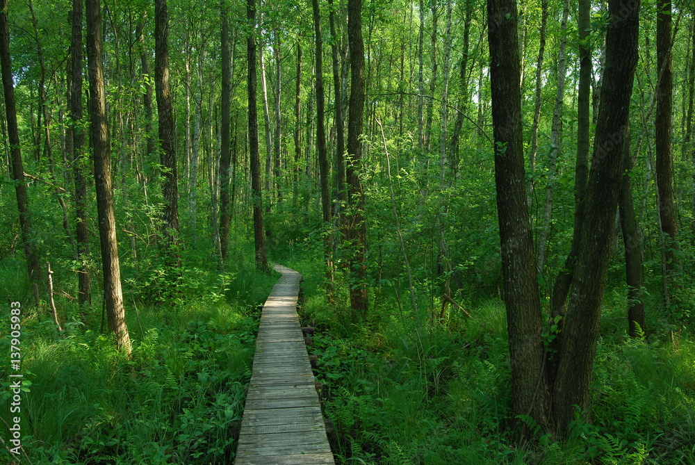 Poleski Park Narodowy, Poleski Park Narodowy,