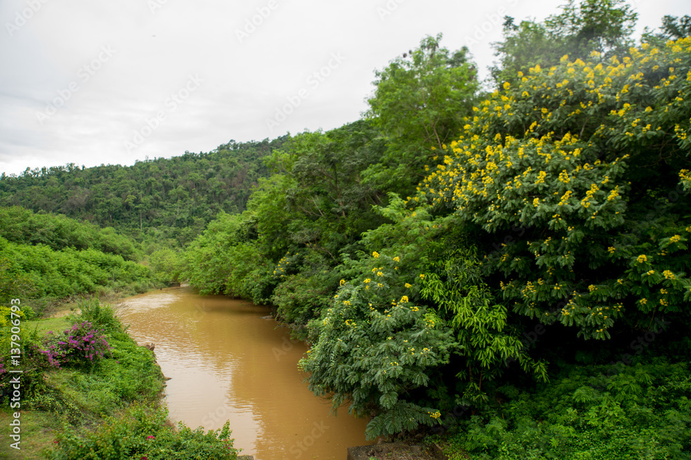 River Aerial View River Aerial View