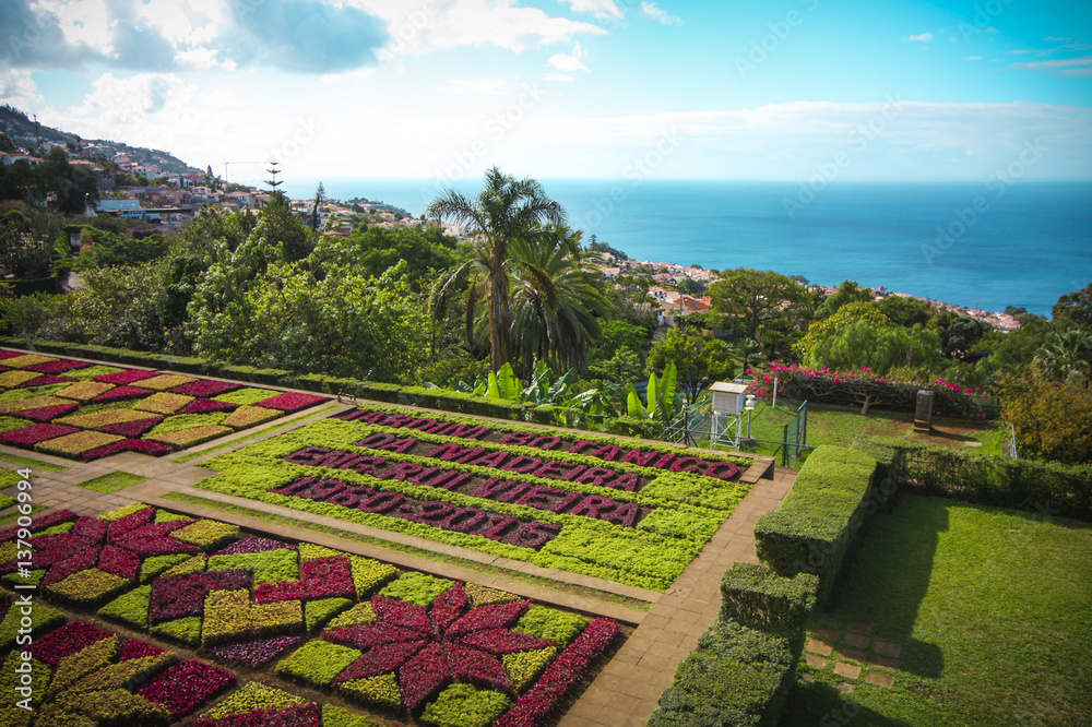 Botanischer Garten in Madeira Botanischer Garten in Madeira