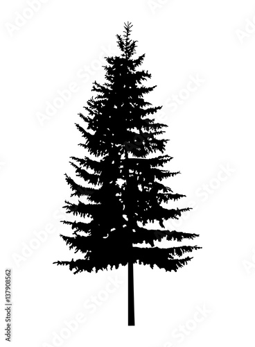 Silhouette of pine tree. Can be used as poster, badge, emblem, banner, icon, sign, decor...