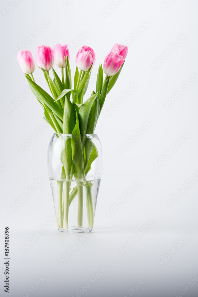 pink tulips in vase