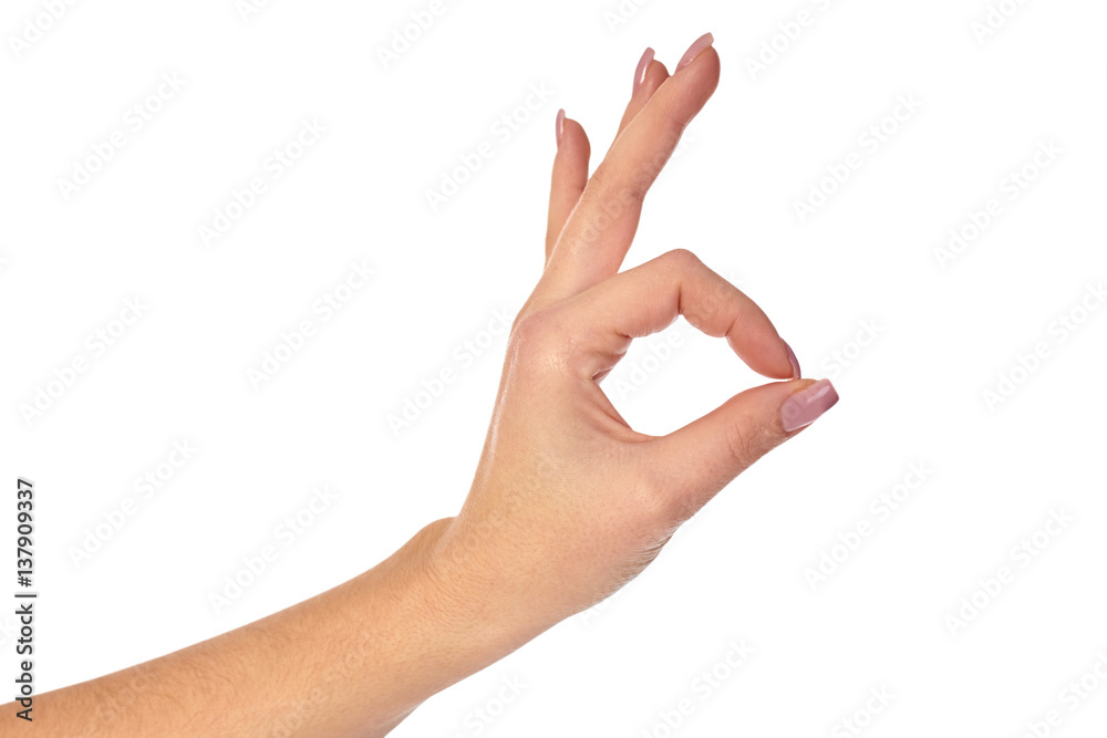 Gesture of the hand on white background