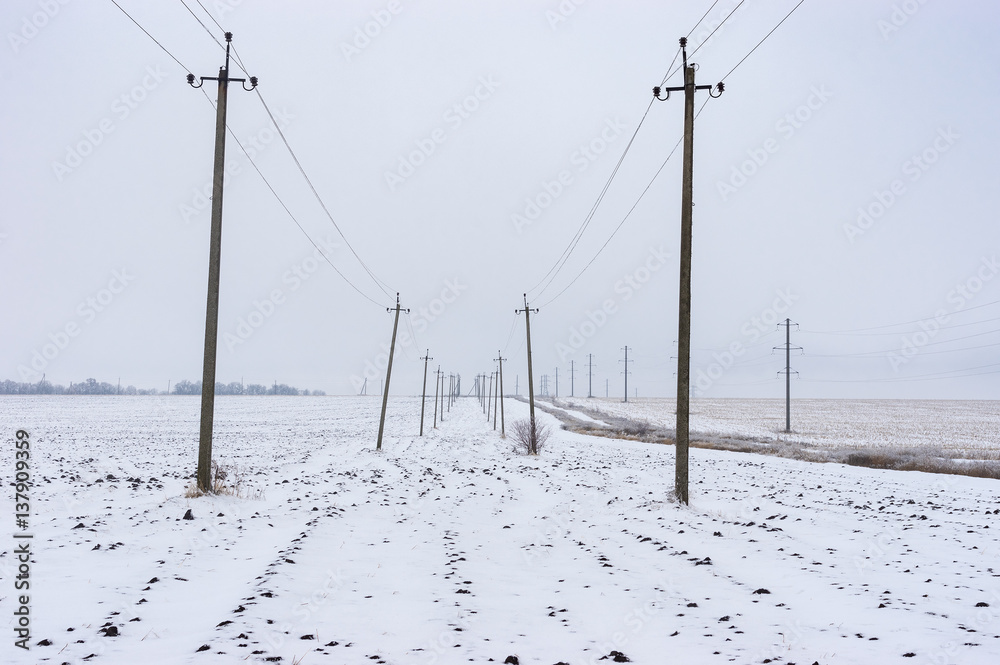 Rows of poles bearing electricity on agricultural field in winter season