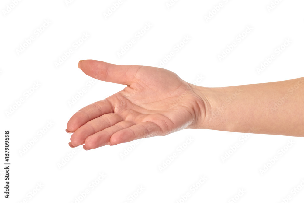 Hand