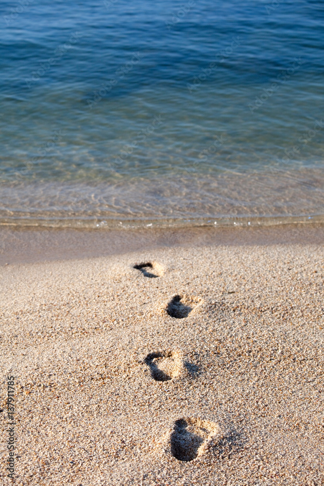 Fototapeta premium empreintes de pieds dans le sable sur une plage