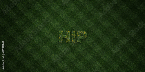 HIP - fresh Grass letters with flowers and dandelions - 3D rendered royalty free stock image. Can be used for online banner ads and direct mailers..