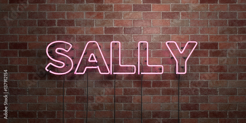 SALLY - fluorescent Neon tube Sign on brickwork - Front view - 3D rendered royalty free stock picture. Can be used for online banner ads and direct mailers..