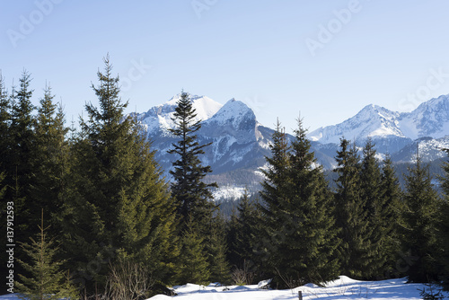 Beautiful landscape in Tatra mountains photo