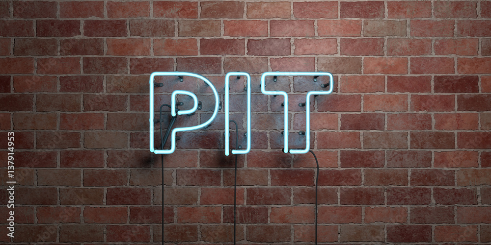 Obraz premium PIT - fluorescent Neon tube Sign on brickwork - Front view - 3D rendered royalty free stock picture. Can be used for online banner ads and direct mailers..