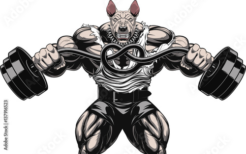 Angry dog bodybuilder