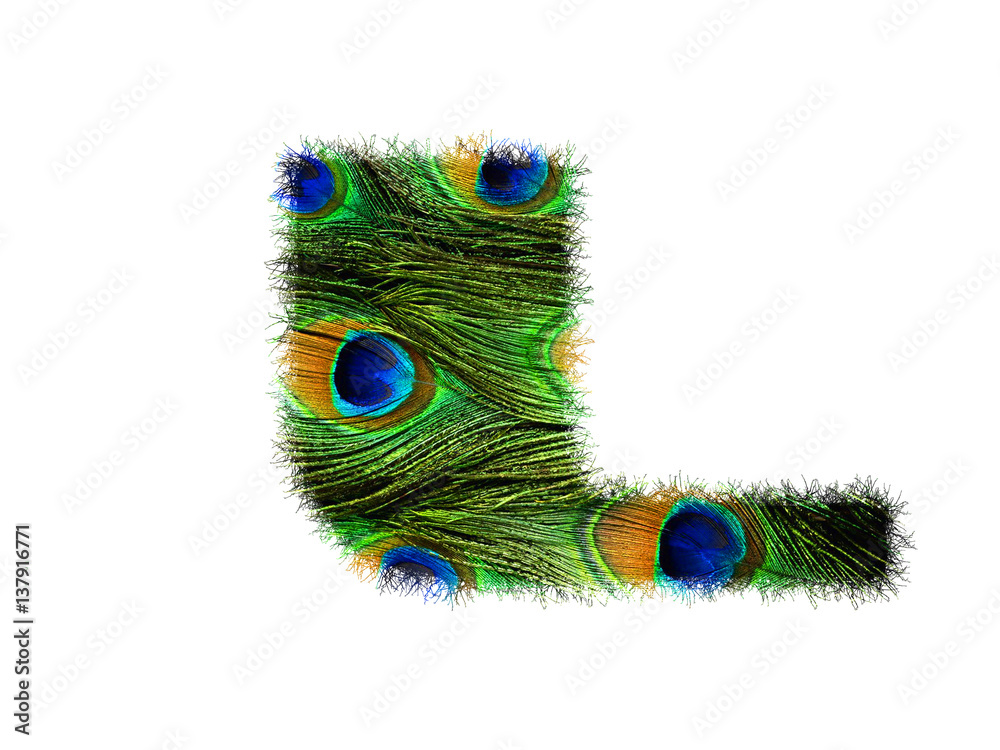 Obraz premium High resolution upper case letter L made of peacock feathers alphabet isolated on white background