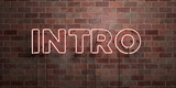 INTRO - fluorescent Neon tube Sign on brickwork - Front view - 3D rendered royalty free stock picture. Can be used for online banner ads and direct mailers..