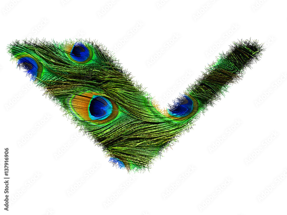 Obraz premium High resolution upper case letter V made of peacock feathers alphabet isolated on white background