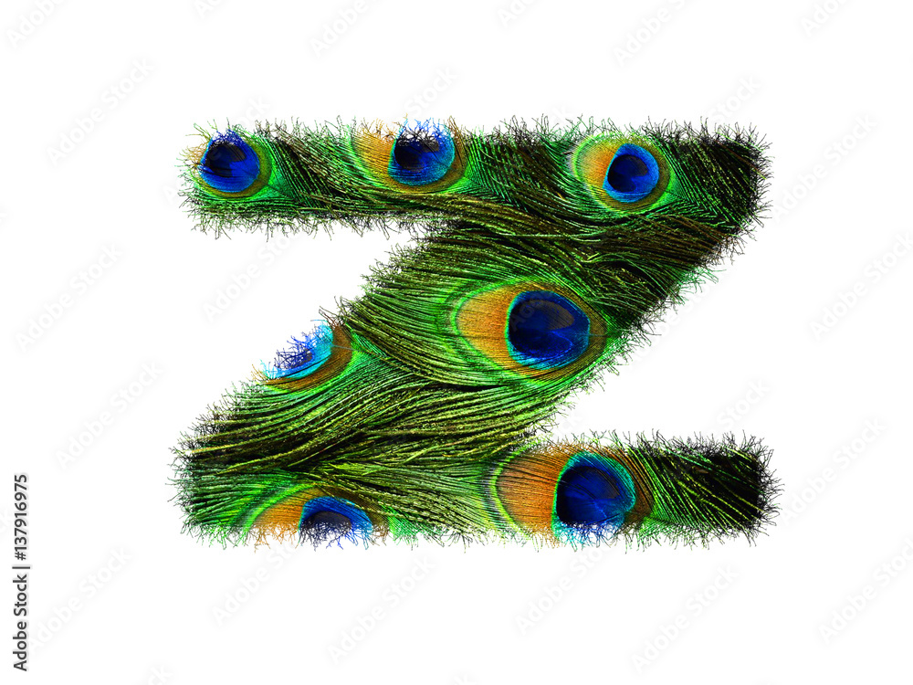 Obraz premium High resolution upper case letter Z made of peacock feathers alphabet isolated on white background