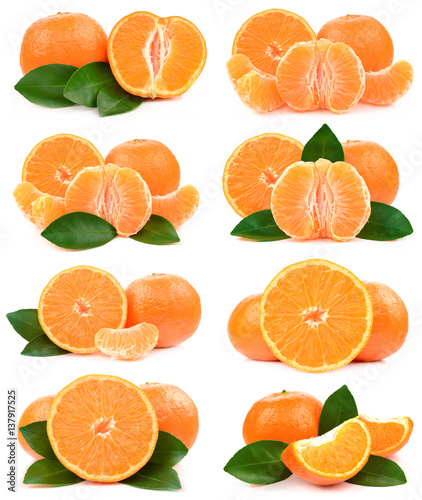 Collection tangerine