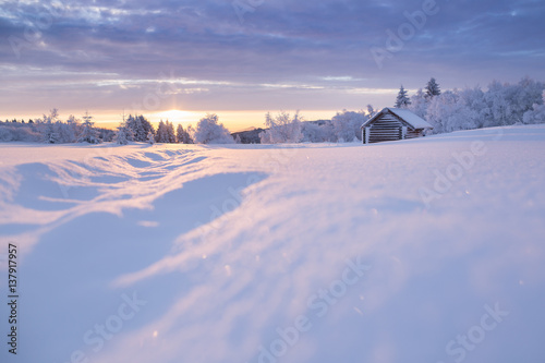 Winterlandschaft im goldenen Sonnenlicht mit einer kleinen Holzhütte im Hintergrund