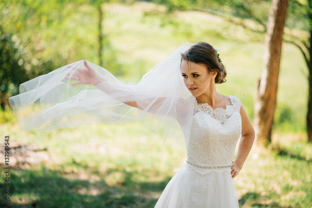 Amazing brunette bride posed on sunny forest. Amazing brunette bride posed on sunny forest.