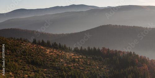 Mixed Common beech (Fagus sylvatica) and Spruce (Picea abies) forests in autum colours at sunrise seen from the road to Muntele Mic. Southern Carpathians, Muntii Tarcu, Caras-Severin, Romania, October 2012 photo