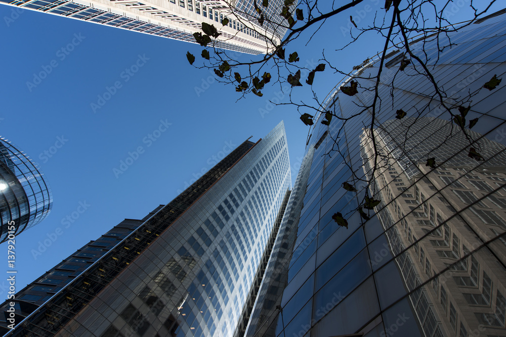 Fototapeta Three Corporate office buildings city sky copyspace.