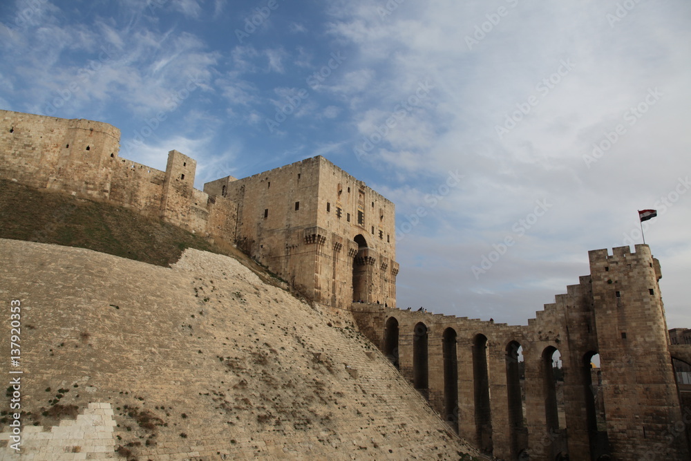 The Citadel of Aleppo - Syria (Before war, 2011 year)