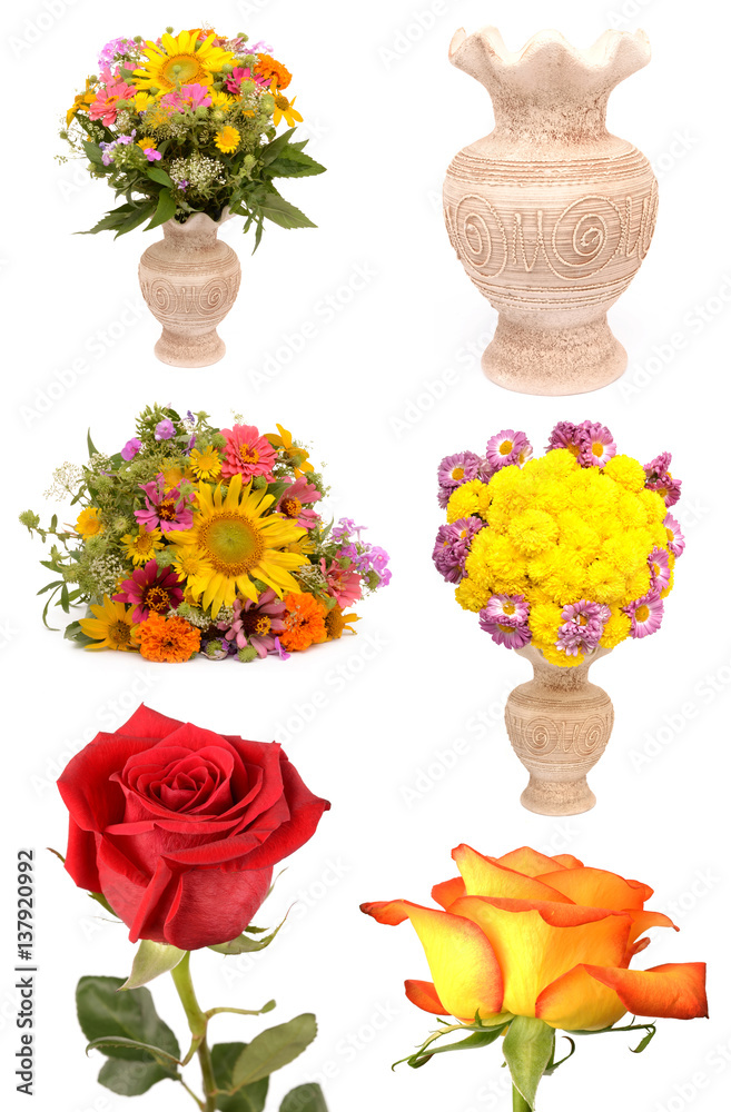 Obraz premium collection of flowers
