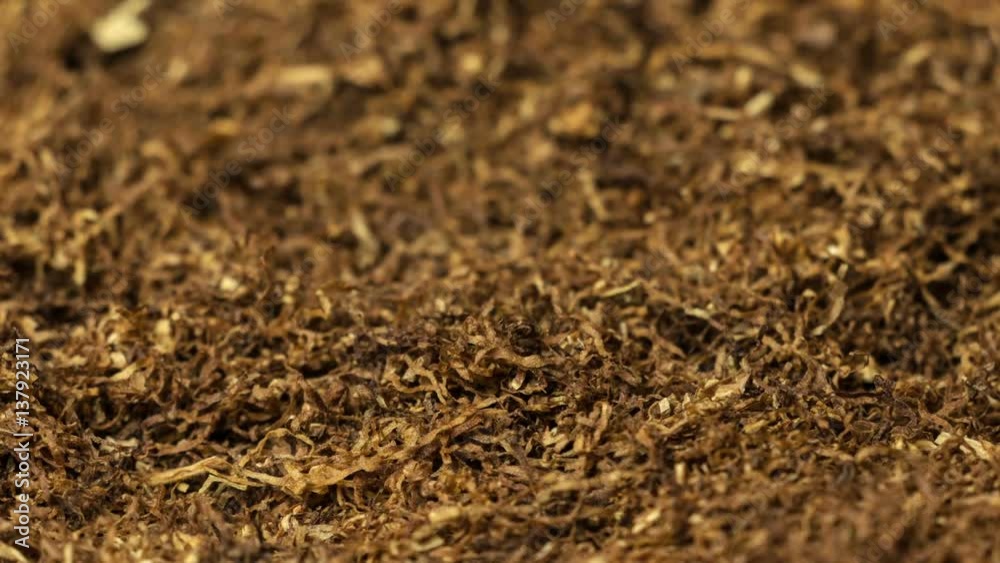 Extreme closeup / macro slide of  tobacco. Shallow depth of field. Ideal as a background with tobacco related projects. 1080p, 30fps.