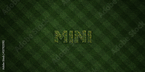 MINI - fresh Grass letters with flowers and dandelions - 3D rendered royalty free stock image. Can be used for online banner ads and direct mailers..
