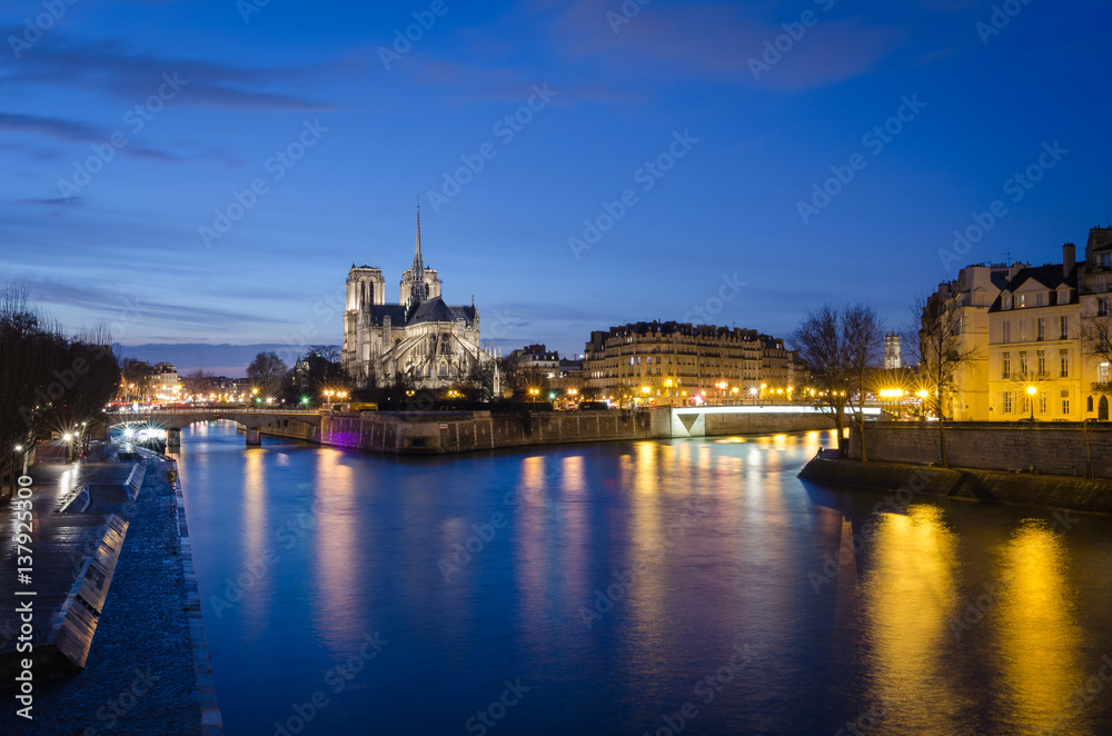 Paris scenic view on Notre-Dame and Ile de la cite