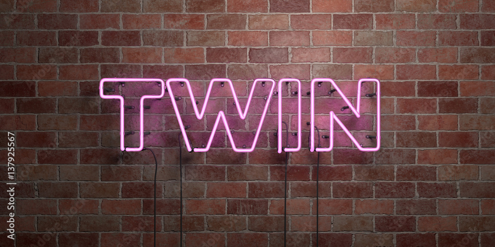 Obraz premium TWIN - fluorescent Neon tube Sign on brickwork - Front view - 3D rendered royalty free stock picture. Can be used for online banner ads and direct mailers..