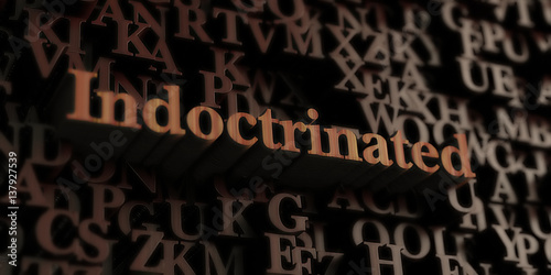 Indoctrinated - Wooden 3D rendered letters/message.  Can be used for an online banner ad or a print postcard.