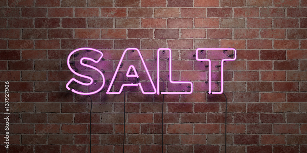 Fototapeta premium SALT - fluorescent Neon tube Sign on brickwork - Front view - 3D rendered royalty free stock picture. Can be used for online banner ads and direct mailers..