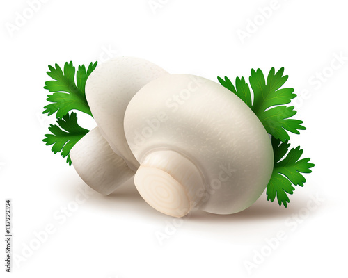 Vector Heap of Fresh Whole White Portabello Agaricus  Champignons Mushrooms with Green Parsley Leaves Close up Isolated on White Background