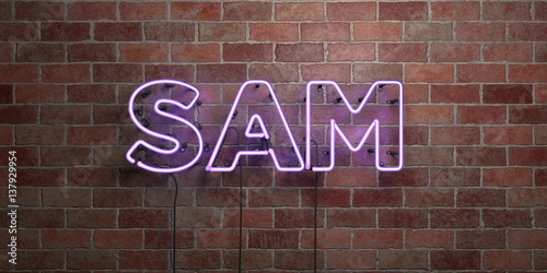 SAM - fluorescent Neon tube Sign on brickwork - Front view - 3D rendered royalty free stock picture. Can be used for online banner ads and direct mailers.. photo