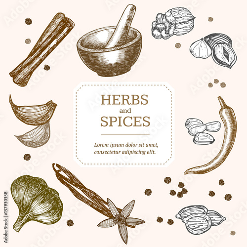 Spices Banner Card Hand Draw Sketch. Vector